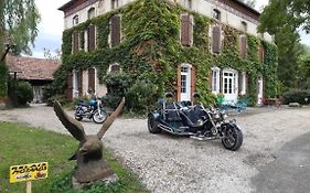 La Belle D'Antan